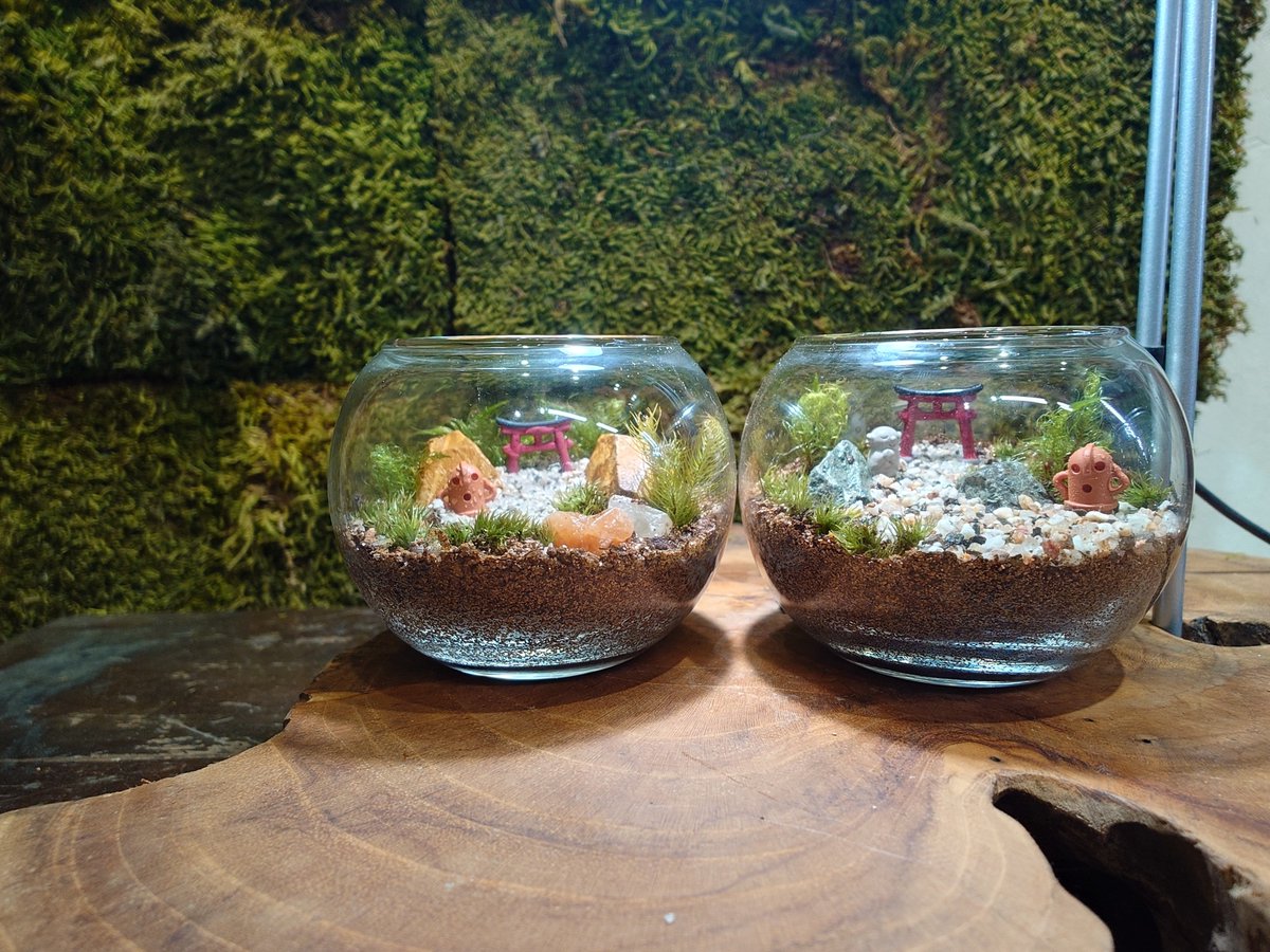 maronn1379's tweet photo. 今日は彼女と鎌倉で苔テラリウムを作成してきました！！
 
ハニワが可愛すぎてたまらない💕

#苔テラリウム  #苔むすび https://t.co/J5AFQy3CWd
