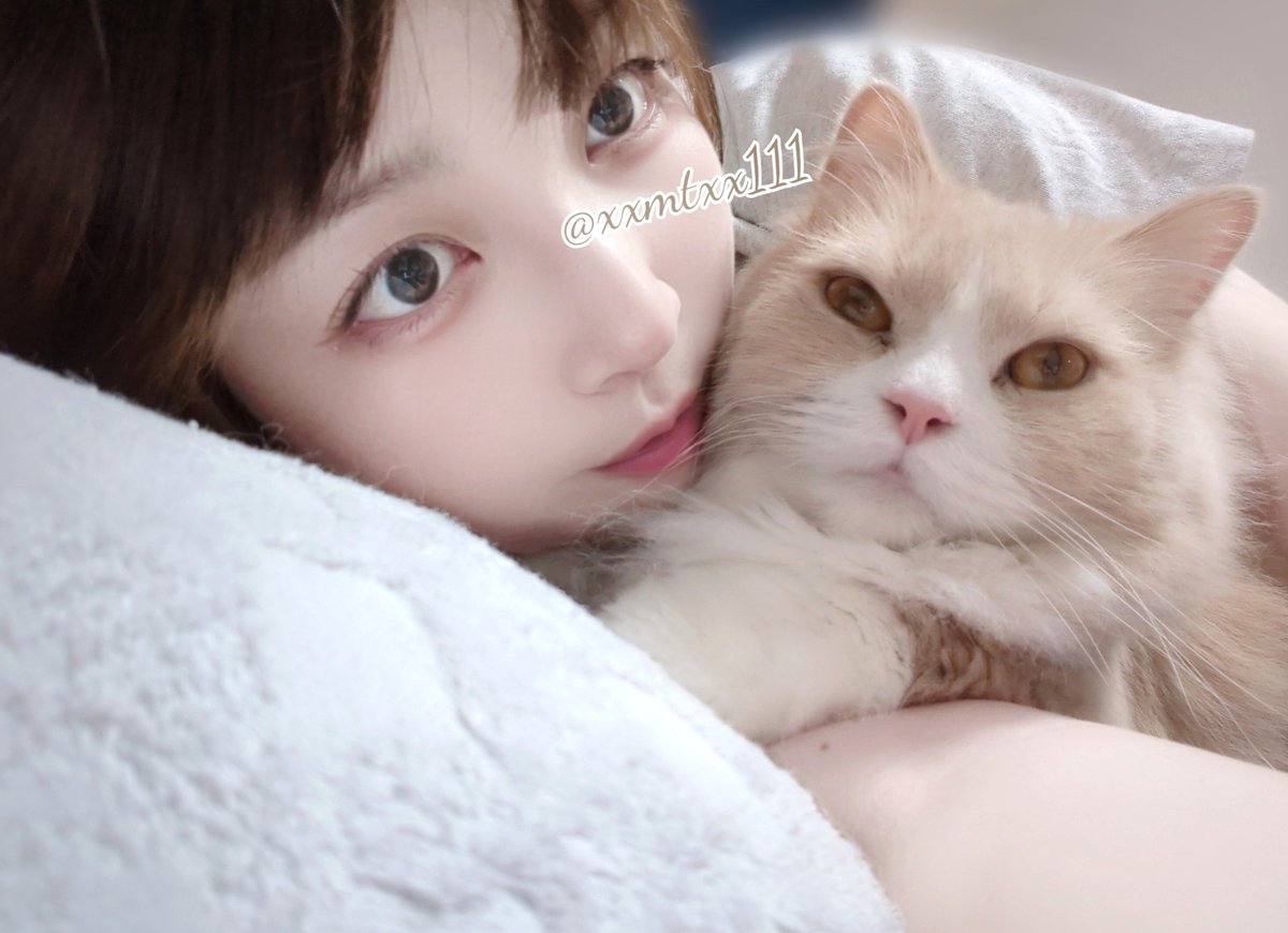 xxmtxx111's tweet photo. お休みはにゃんことまたーりだよ(ΦωΦ)
みんなのお出かけしたり美味しいもの食べたりコスしたりしてるポスト見て楽しませてもらってるよ🥰🫶お家でゆっくりしてるポストはまいたむと一緒だぁと思って見てる🐰。ぼっちでも寂しくないのはみんな♡、RP、リプしてくれたり、にゃんこがいるからねぇ😻🫶 https://t.co/iLCDLzKTVl