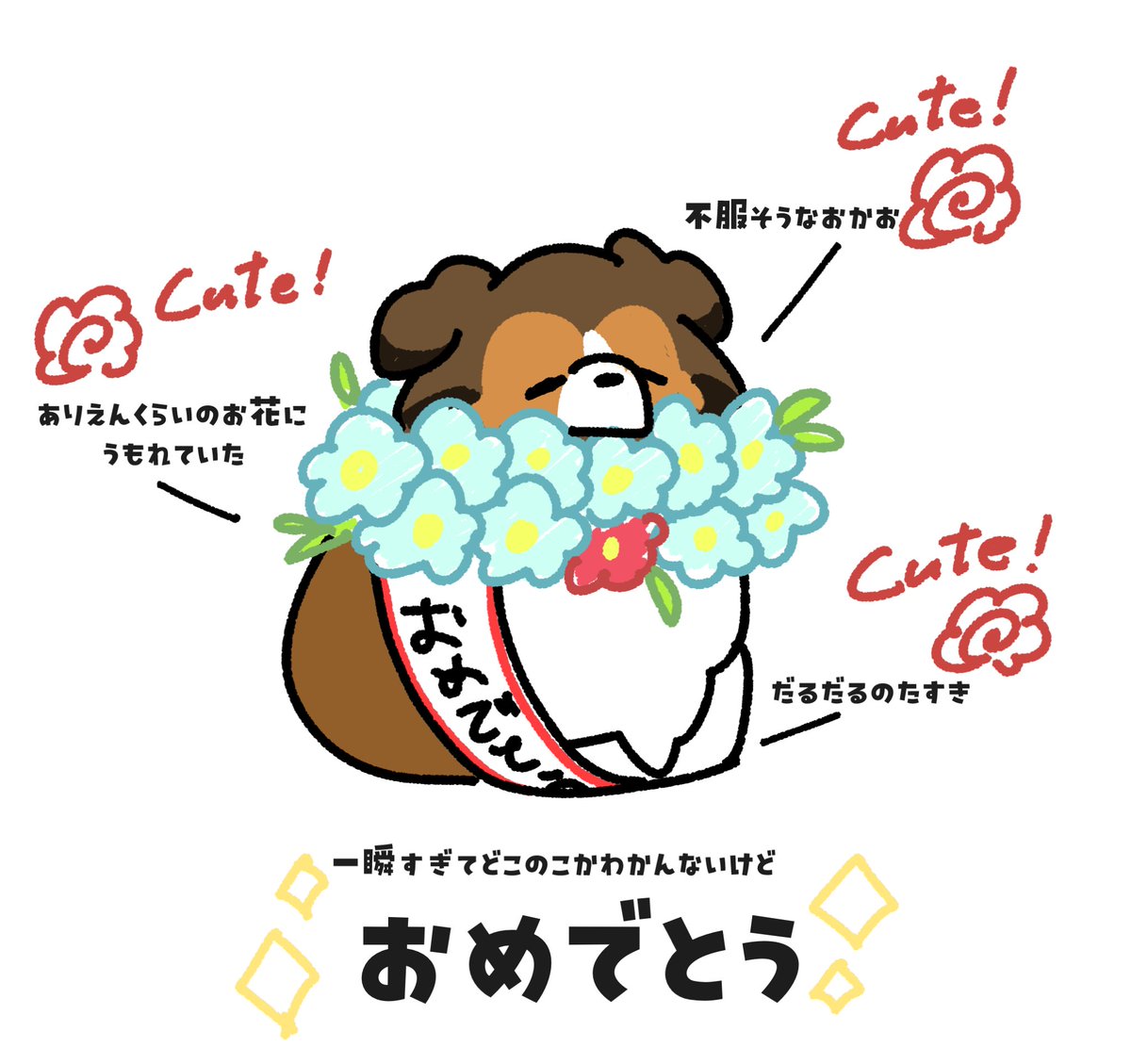 m_Earl0116's tweet photo. なんかこんな感じのおめでたいシェルティが駆け抜けていった気がする、、、

仕様が変わったのかいいね押したのも見方がわからない😭😭😭

どこのシェルティちゃんかわからないけどおめでとう🎉🎂✨

どうか素敵な1年を！！！ https://t.co/wRRzeDvHfa