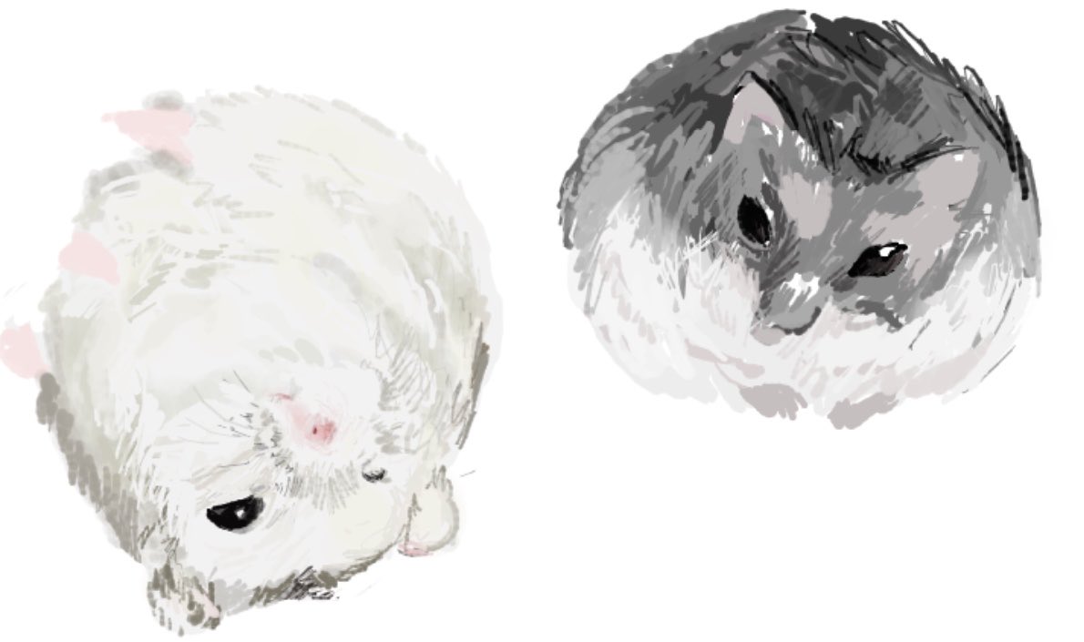 feb1xc's tweet photo. 絵チャ https://t.co/o0H2KUlAu2