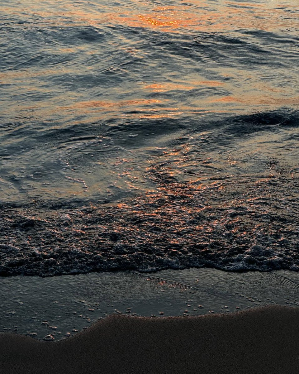 Stephan_Gabriel's tweet photo. Top of the morning! 🚀 You should know that every sunrise is proof that you can rise again. 🦋
XEUX https://t.co/KXxewRN3gt