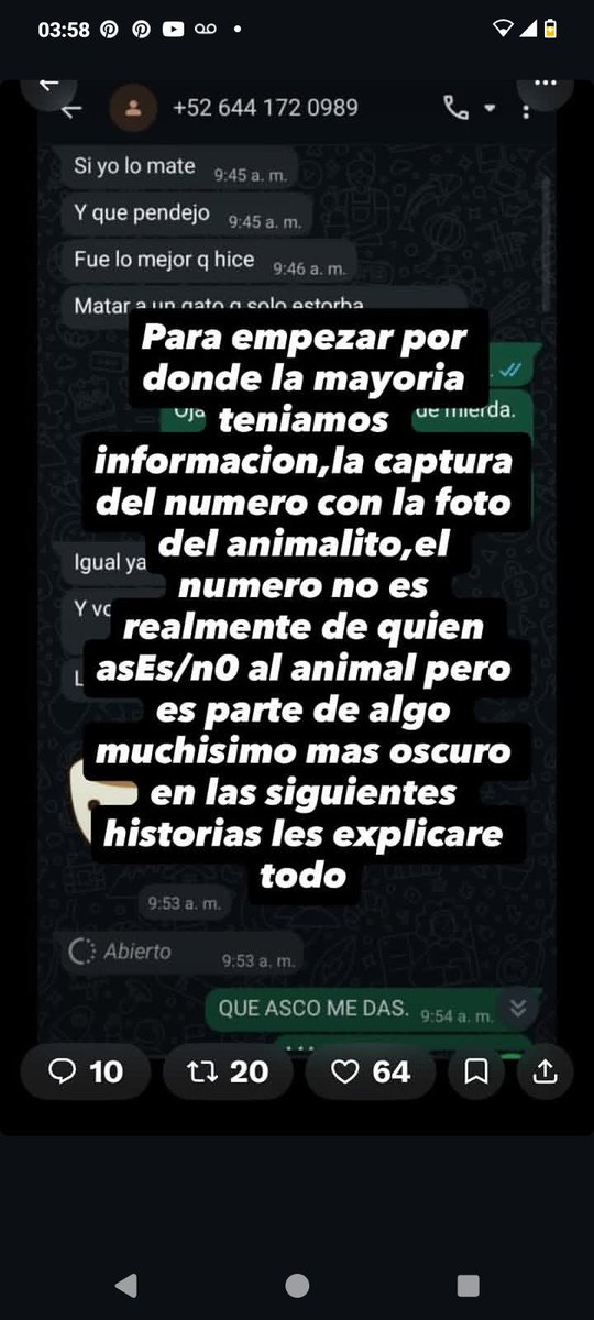 olivas_sao22668's tweet photo. Hola, no sé si ya les haya aparecido está funa, pero es muy importante que lean lo que les voy a decir.
 En los últimos días c estuvo difundiendo la imagen de un número de WhatsApp con la foto de un gato Muert0 quien lo hizo fue cheri, est conectada con un grupo de pdflos+ https://t.co/pEC2cynUYm