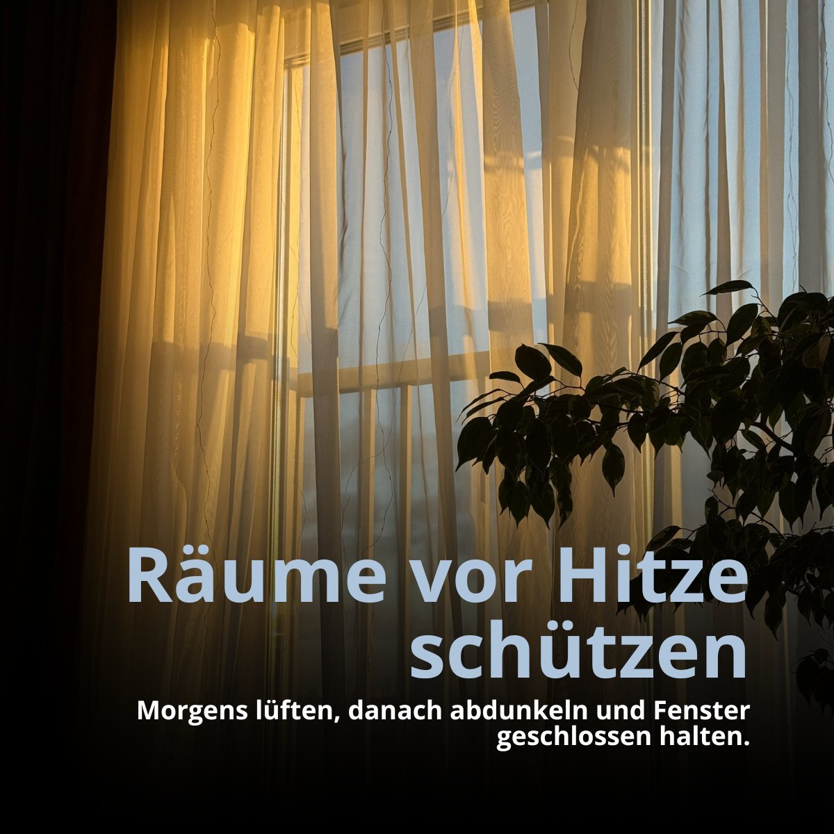 GetFreeFinance's tweet photo. Heiße Tage erleichtern Arbeiten nicht.

Aber mit ein paar einfachen Gewohnheiten bleibt der #Arbeitsalltag erträglicher.

Wer laufend dranbleibt, muss sich nicht am heißesten Tag durch offene Belege, #Rechnungen und Fristen kämpfen. https://t.co/GhHX4KJabY