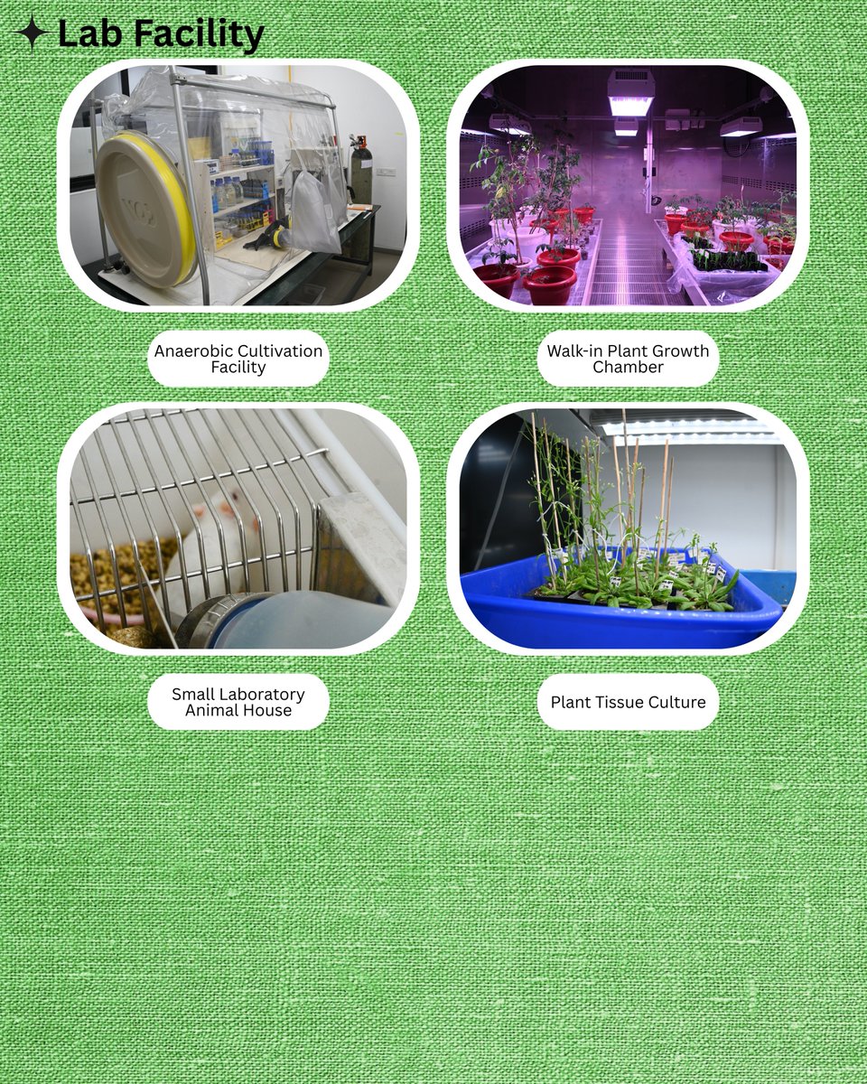 GujBiotechUni's tweet photo. 🌐 Know more: https://t.co/AcLJChB4JF #GujaratBiotechnologyUniversity #GBU #Biotechnology #Research #Innovation #LifeSciences #Genomics #Proteomics #MolecularBiology #Bioinformatics #BiotechResearch #ResearchInfrastructure #ScientificResearch 3/n https://t.co/wAG0RdeOI5