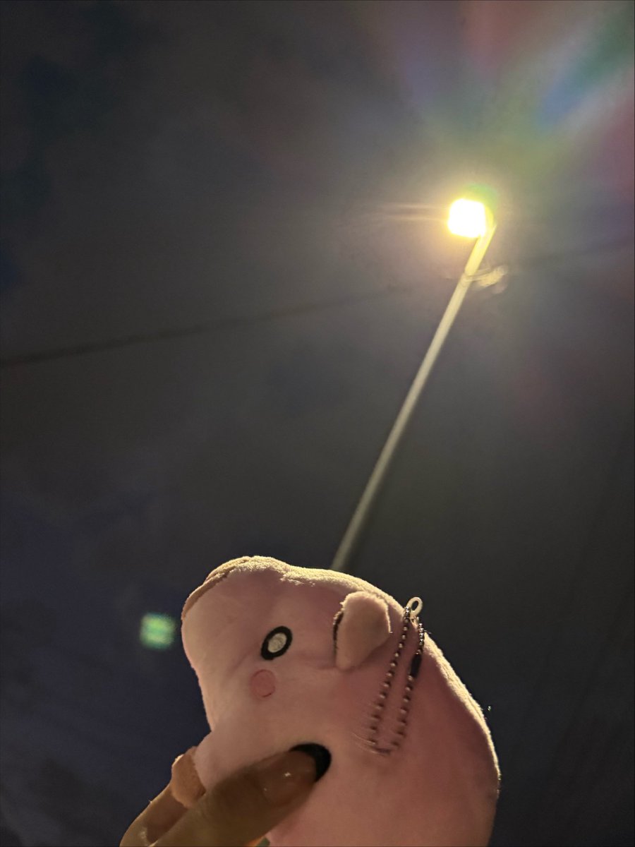 j9_t__0a's tweet photo. ピグ、田舎の中のましなとこだよ https://t.co/5RWEpGAaXW