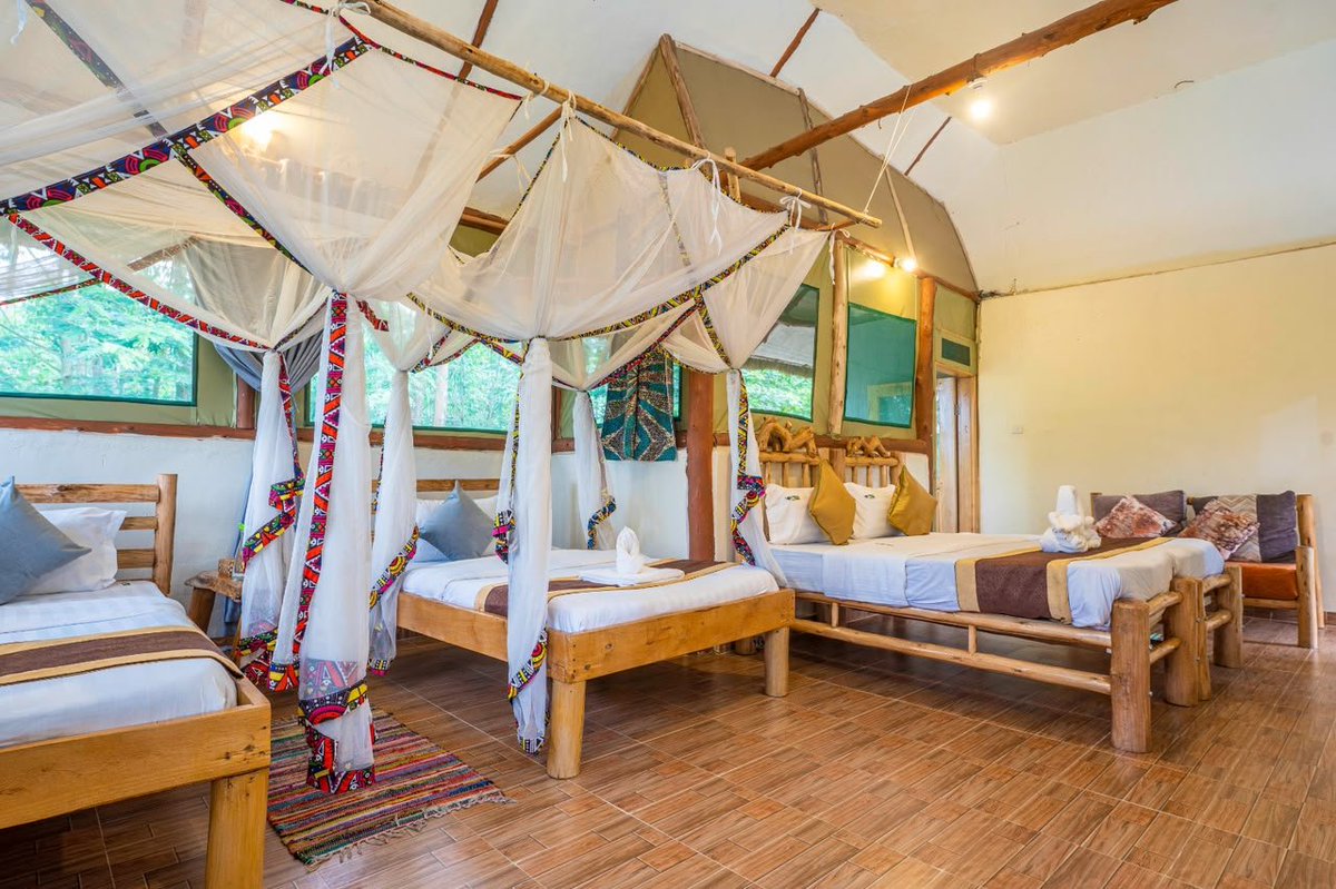 ramisjoshua's tweet photo. More space,more comfort
Travelling with family or a group?The Triple Room $150 BB offers space for up to 4 guests,with:

✨ 3 beds
✨ 3 bathrooms
✨ Private balcony
✨ Mini lounge

At #EmbogoLodgesIshasha,the experience goes beyond accommodation it's about enjoying comfort&amp;nature https://t.co/dK7jbFouHA