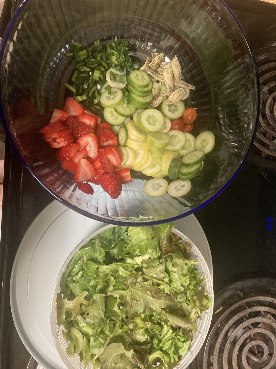 MarissaBeck40's tweet photo. Did I grow a whole salad at home? Yes. Yes I did https://t.co/OLL2ntGPGV