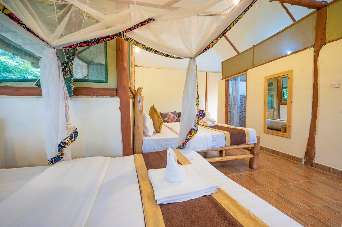 ramisjoshua's tweet photo. More space,more comfort
Travelling with family or a group?The Triple Room $150 BB offers space for up to 4 guests,with:

✨ 3 beds
✨ 3 bathrooms
✨ Private balcony
✨ Mini lounge

At #EmbogoLodgesIshasha,the experience goes beyond accommodation it's about enjoying comfort&amp;nature https://t.co/dK7jbFouHA