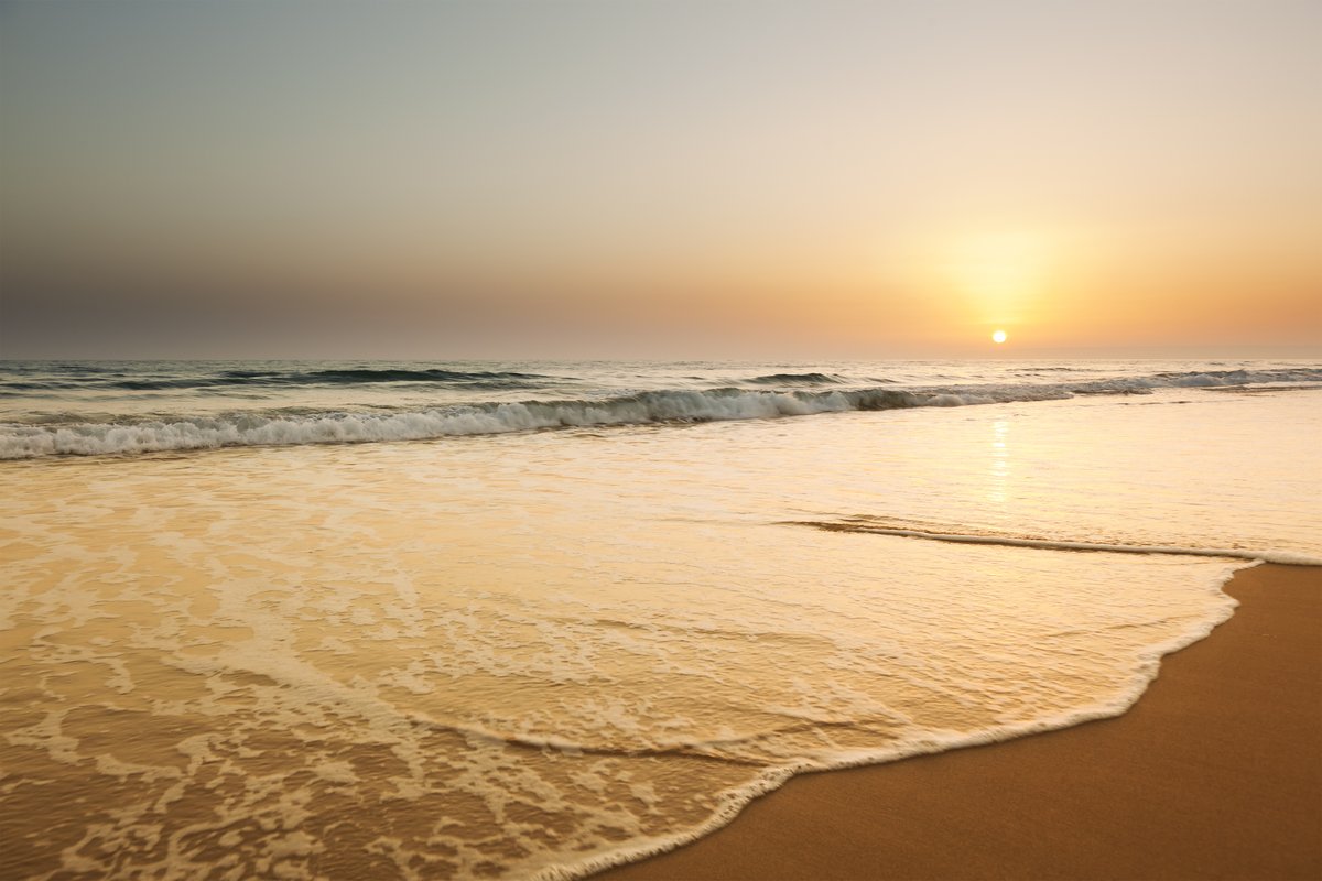 COCEMFEnacional's tweet photo. La discapacidad no se toma vacaciones.

Las barreras tampoco deberían hacerlo.

La accesibilidad es un derecho los 365 días del año.

#AccesibilidadCOCEMFE #verano #discapacidad https://t.co/eFNwR89eX2