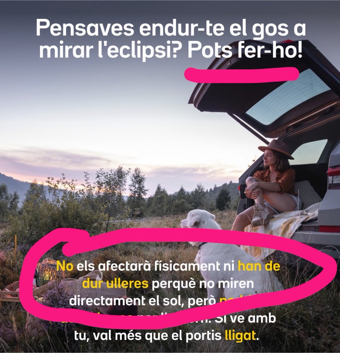 sempresaludava's tweet photo. Com de subnormal has de ser per anar a mirar l’eclipsi i pensar que hauries de posar-li ulleres al teu gos? https://t.co/JbP1X1uYi4