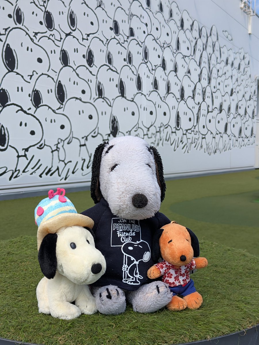 snooyo's tweet photo. うちの小スヌーピーも一緒にお祝い。
「あれ、ボクの誕生日は12/15なんだけど、コミックのボクは今日なんだね？むつかし〜🤔」
#スヌーピー 
#スヌーピーバースデー2026 
#スヌーピーミュージアム東京 https://t.co/UVjNfTf9om