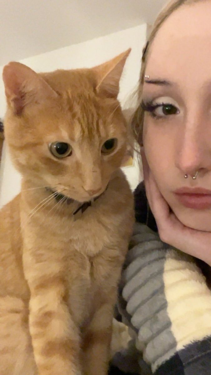ashanticait_'s tweet photo. he’s a 10 because cats like him https://t.co/S5pihsyzKq
