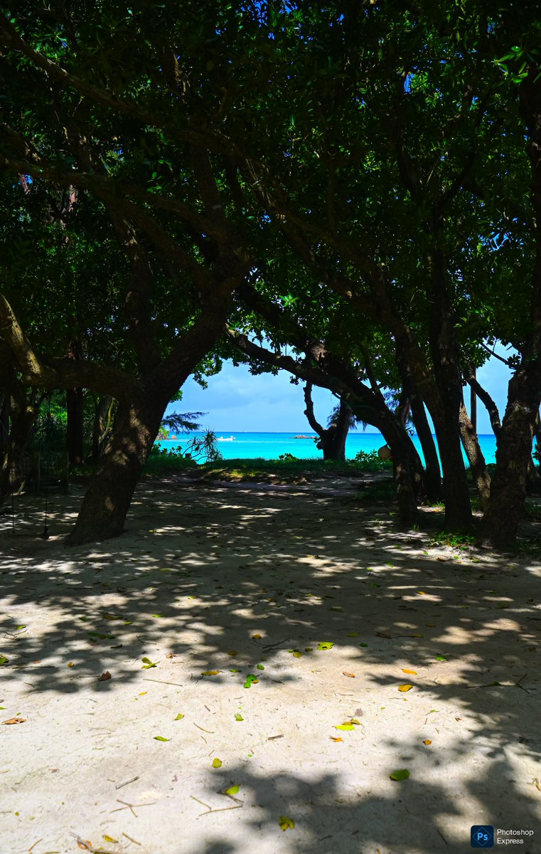 suzukin5050's tweet photo. 先日の八重山諸島の旅より📷️
石垣島、底地ビーチ⛱️
みんな大好きビーチへの道
#私とニコンで見た世界 https://t.co/x7P2yFne2V