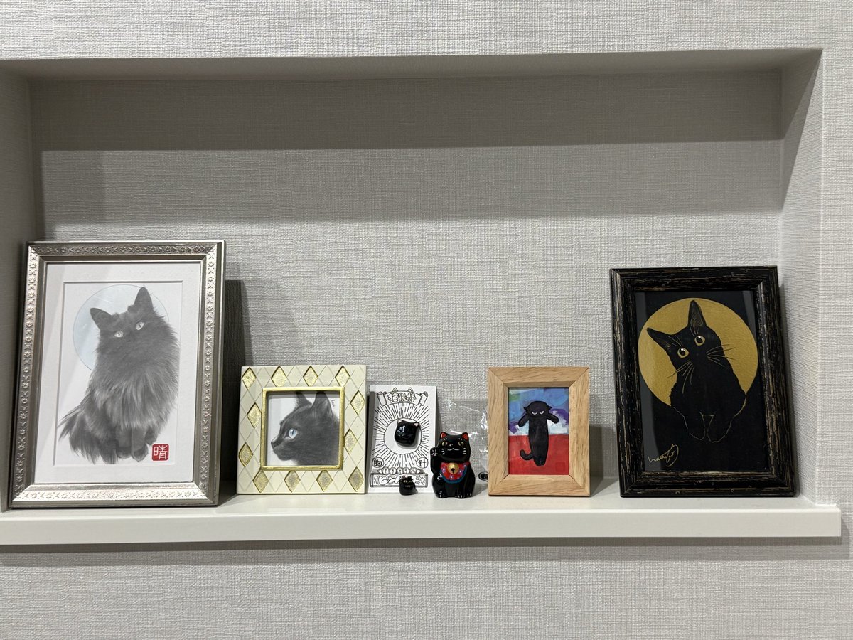 gin_no_29q's tweet photo. 昨日チーム黒猫のメンバーが増えました🎵 https://t.co/dZpQJFlWvo