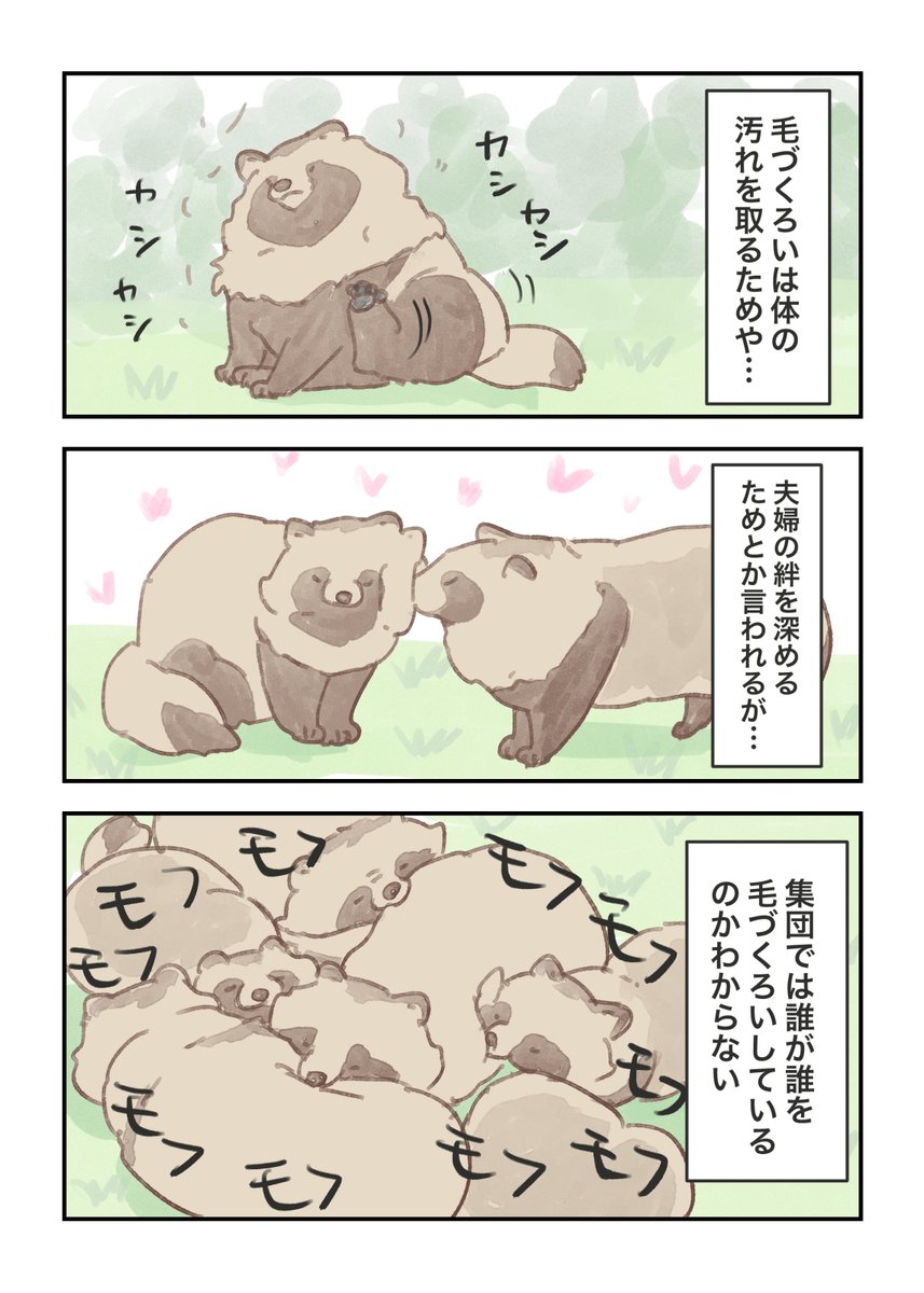Py0wwK's tweet photo. #たぬき　
あんまり知らないタヌキの素顔🐾

「毛づくろいの最終形態」
毛づくろいの目的は…👇
・体の汚れを取る
・夫婦の絆を深める
・【集団で大混雑する】🤣 https://t.co/E9M69g7ped