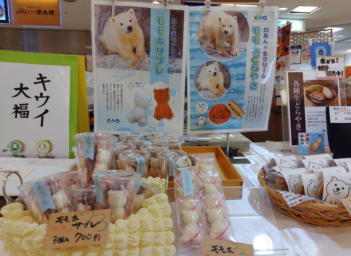 cafe_muffy's tweet photo. モモ太くんどらやき🐻‍❄️
GAOとオガーレで完売していたので
また次回🥹と諦めていたら。。

なんと秋田駅近くのお土産屋さんに
たくさん売っていたという喜び😆✨ https://t.co/n48YnlxkYN