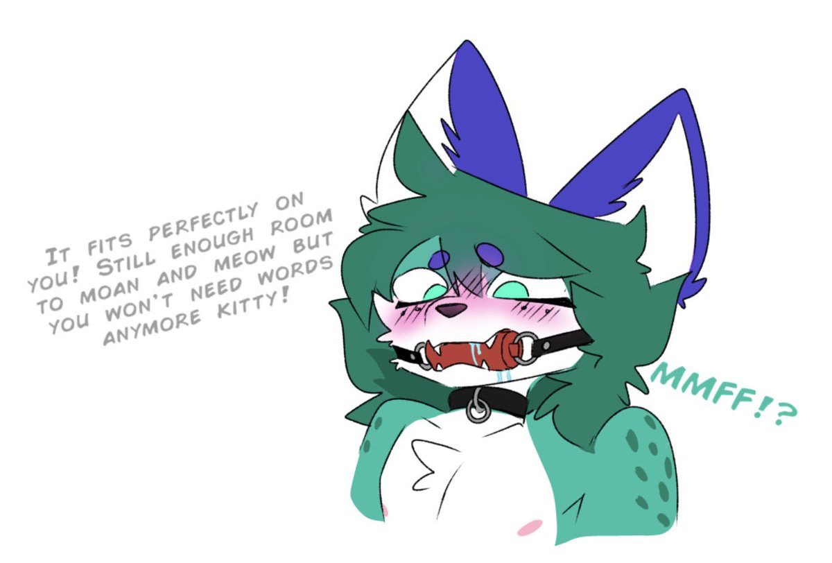 InqittyArtz's tweet photo. Local cat learns what a bit gag does https://t.co/EVEuen5HZd