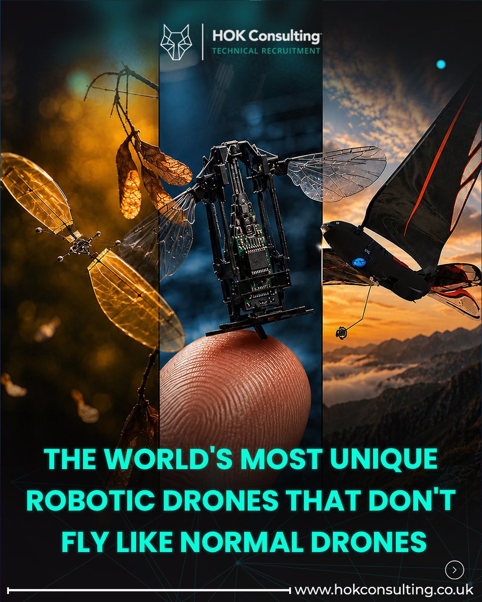 HOKConsulting's tweet photo. Drone technology is evolving far beyond traditional quadcopters, with engineers creating robotic flying machines inspired by nature to improve efficiency, agility, and real world performance. 🚁🤖

#drones #robotics #technology #engineering #future https://t.co/jTwoLk6vBc