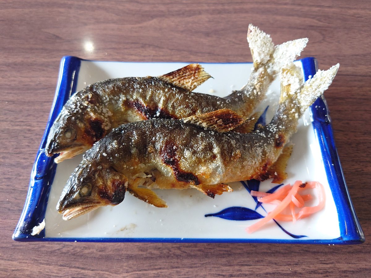 namadagya's tweet photo. @syrupchan0_sub 昨日食べてきた https://t.co/mS1gGtU3jG