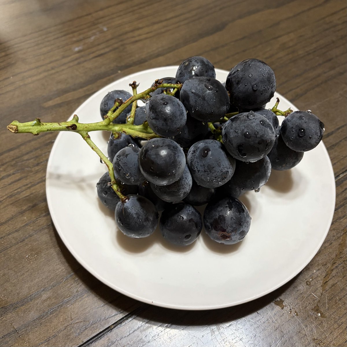 31suke_Ne's tweet photo. @Yonohommachi  さん
から🍇たくさんいただきました
母とわけますね
甘くておいしいです
ありがとうございます!(´▽｀) https://t.co/JbVLcSl85x