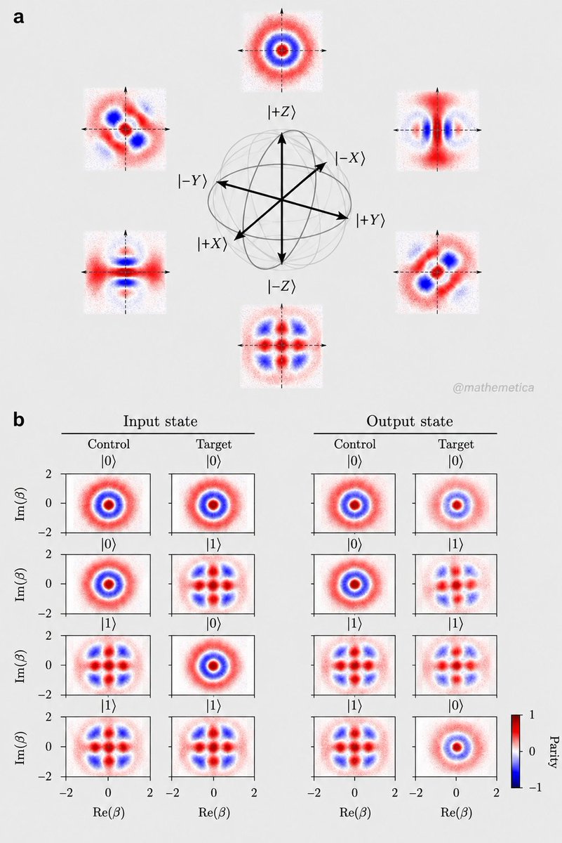 mathemetica's tweet photo. Entanglement lets a quantum gate teleport between logical qubits without touching them. 

A controlled-NOT is applied to two encoded qubits using only shared entanglement and classical messages. The quasi-probability plots of input basis states match the expected outputs exactly, confirming deterministic gate transfer. 

This enables fault-tolerant quantum computing for molecular simulations and cryptography beyond classical reach. Entanglement computes across distance.