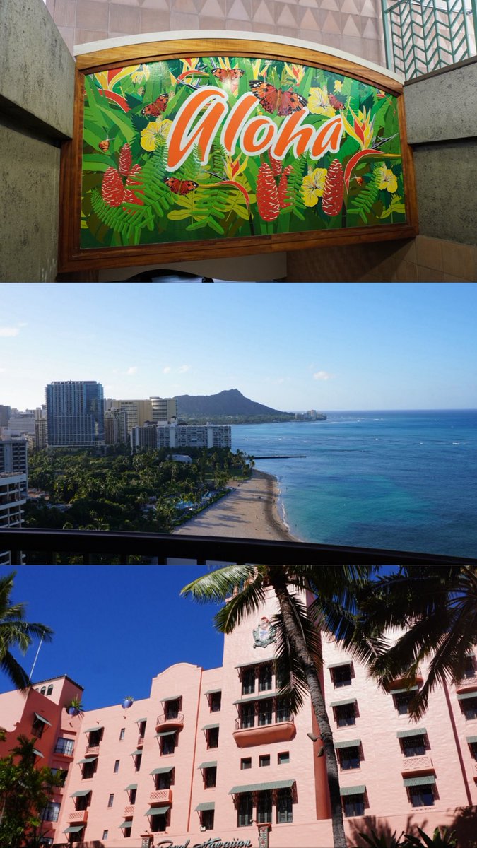 chay_log's tweet photo. Hawaii, here I am! 🌴💛 https://t.co/qdN1dwkNHr