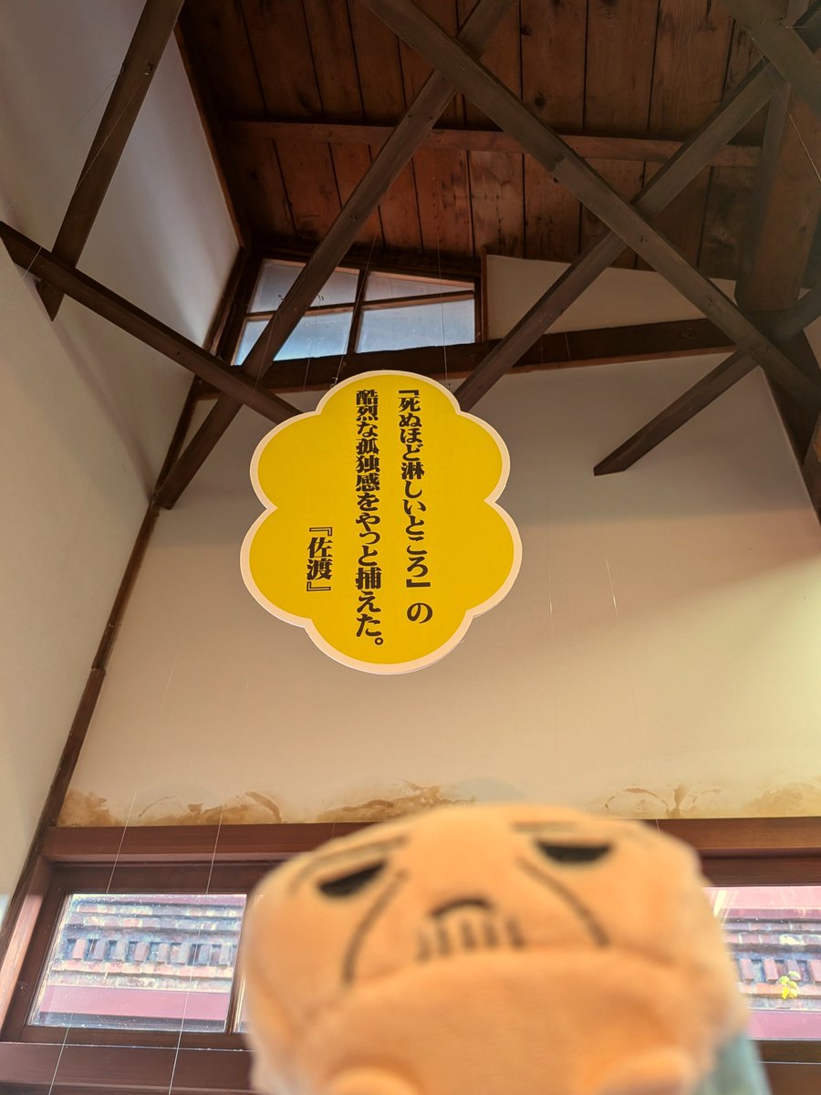 ronron6262's tweet photo. 旅を終えて佐渡を読んでみた
ｼﾞｪﾐﾆくんと感想を言い合うのが楽しい
旅の期待と現実のギャップからついつい目を逸らしたくなるけど、31歳のおさむっちは人間臭くて可愛らしいなと思った https://t.co/LBNZBmVv0u