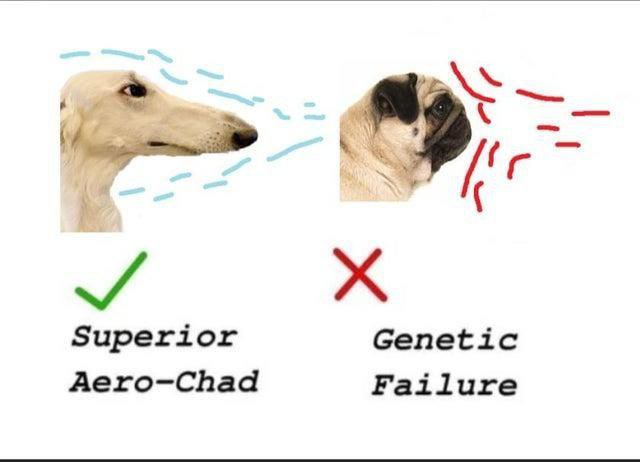 newteingodlace's tweet photo. #supersciencefriends https://t.co/gtUIcbiTGl