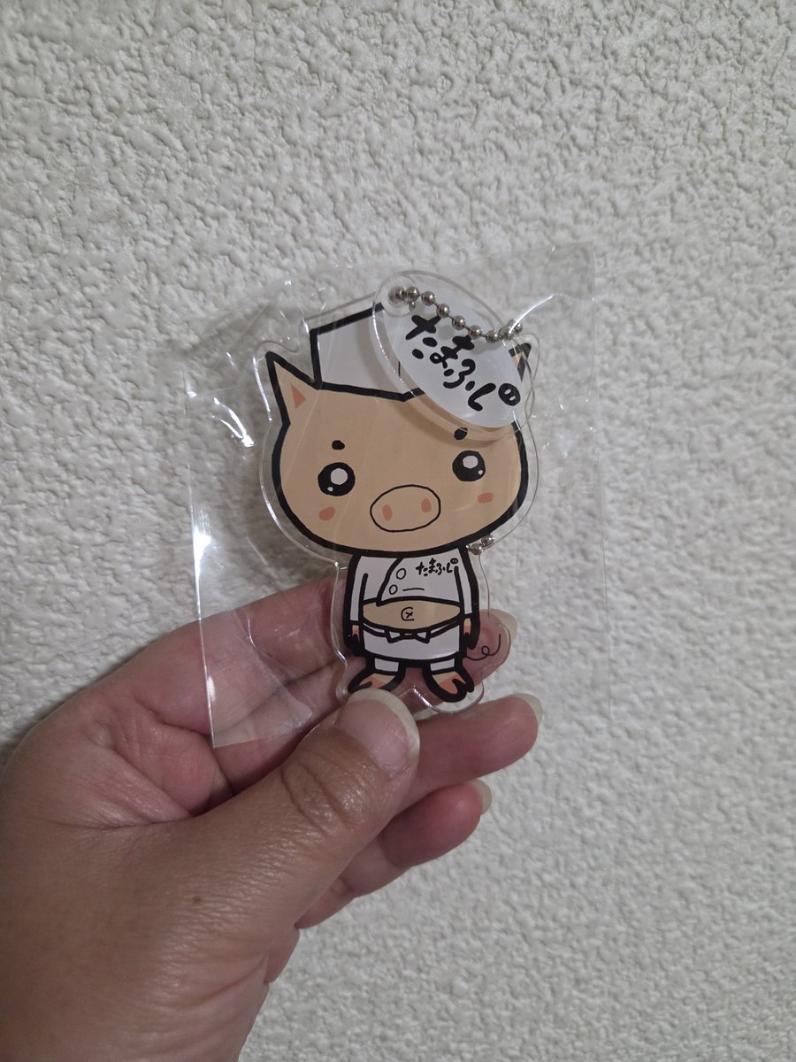 ryu0905hanzo091's tweet photo. 玉藤でカレーしてきた。
玉ブーが当たると言うから🐷

私ははずれたんだけど姉が当たり引いてブーくれた😊

可愛いでべそちゃん( * ֦ơωơ֦) https://t.co/ICgiOkR0Wq
