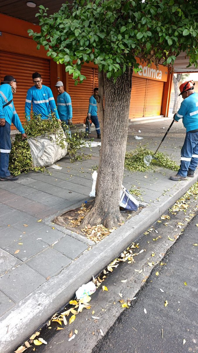 parquesgye's tweet photo. Realizamos trabajos de mantenimiento en varios puntos de la ciudad, aportando al cuidado de los espacios públicos.
📍 Calle Venezuela 📍 Bloques Primavera 📍 Av. Narcisa de Jesús
Seguimos presentes en territorio, construyendo una ciudad más limpia y ordenada.
#AsiSeHaceGuayaquil #AquiEstamos #GuayaquilNoSeDetiene #CiudadDeTodos
@alcaldiagye @taticoronelf