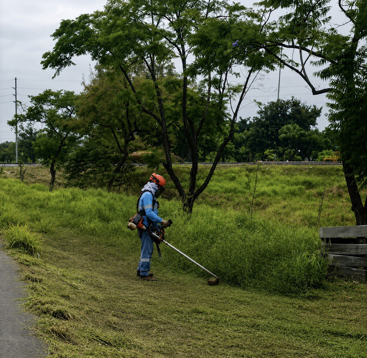 parquesgye's tweet photo. Realizamos trabajos de mantenimiento en varios puntos de la ciudad, aportando al cuidado de los espacios públicos.
📍 Calle Venezuela 📍 Bloques Primavera 📍 Av. Narcisa de Jesús
Seguimos presentes en territorio, construyendo una ciudad más limpia y ordenada.
#AsiSeHaceGuayaquil #AquiEstamos #GuayaquilNoSeDetiene #CiudadDeTodos
@alcaldiagye @taticoronelf