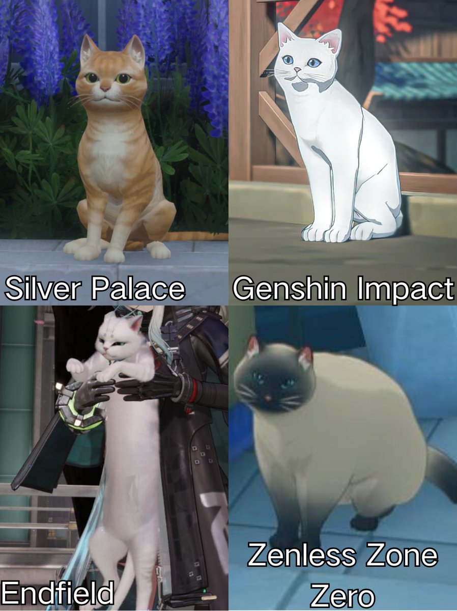 PlayedThemAll's tweet photo. Cats from different games 🐱 Which one is your favorite? I personally love the little orange cat from Silver Palace.
#SilverPalace #DichotomyBetaTest #DetectiveWanted #ZanlessZoneZero #Endfield #GenshinImpact https://t.co/V1LUdPGulB