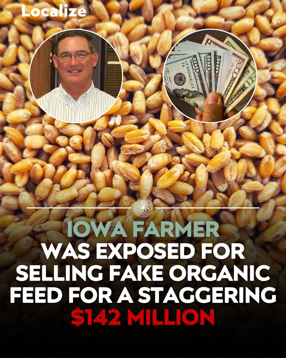 Localizefoodapp's tweet photo. A Midwest grain broker ran one of the largest organic fraud schemes in U.S. history.

Between 2010 and 2017 he sold roughly $142 million in ordinary grain falsely marketed as organic.

Much of it became livestock feed, so meat, milk, and eggs from those animals reached shelves labeled organic under false pretenses.

The U.S. still imports most of its organic soybeans and nearly half its corn, making the supply chain hard to verify.

Know your farmer with Localize.