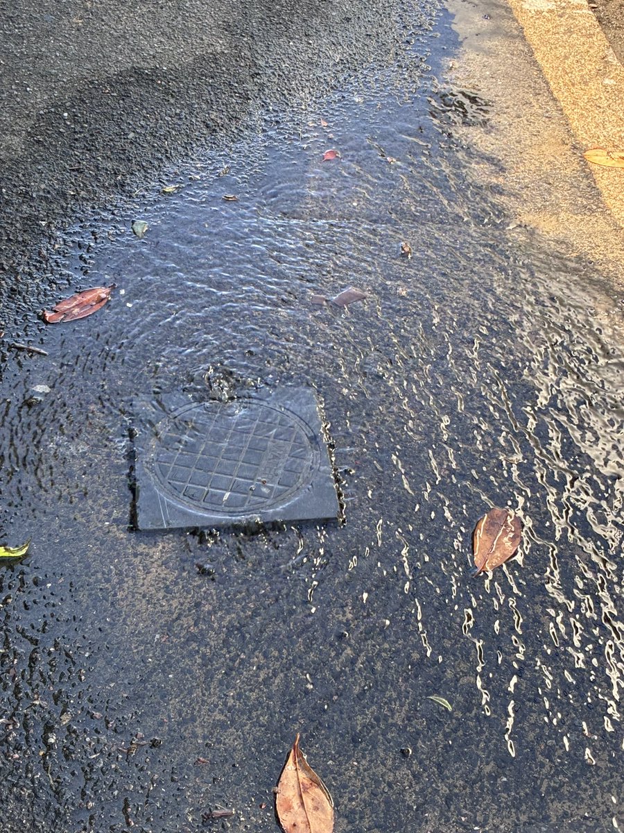 Sherinekrause's tweet photo. @Feargal_Sharkey This contribution from @thameswater has been running on my road in #Streatham for about four weeks so far… https://t.co/HFxlbevF1g