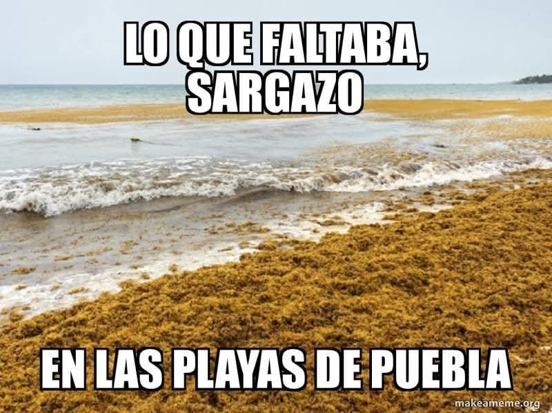 LuisMeds65's tweet photo. La alerta roja ya llegó a Tlaxcala, SLP, Morelos, Querétaro, Durango y Zacatecas.

    Fuente: @latinus_us https://t.co/HMyBjO6Uev