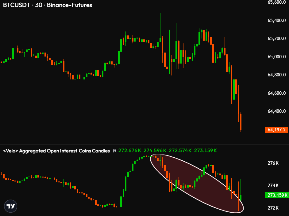 TedPillows's tweet photo. All $BTC late longs got wiped out. https://t.co/NoSatPLV04