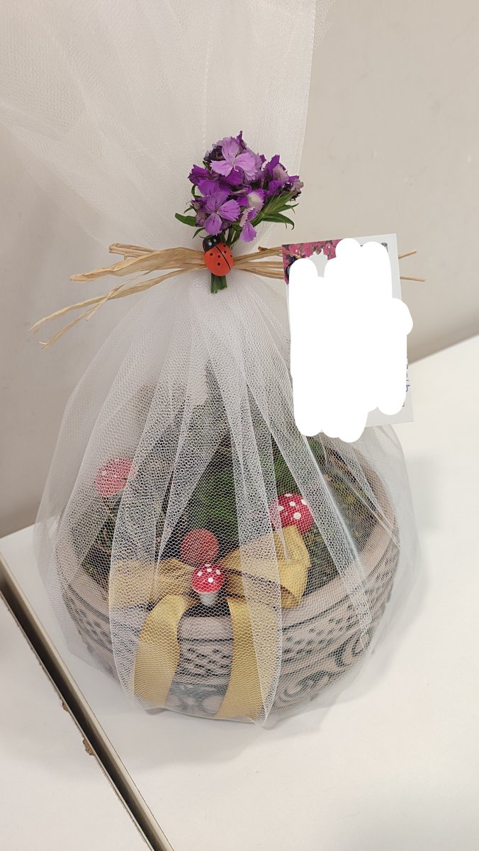 limonluuukekkk's tweet photo. Doyamıyorum çiçeklerime, hep bir sürü çiçeğim olsun derken her gün çiçeklerimin olması 🥹🌸 https://t.co/EEAWBPYgep