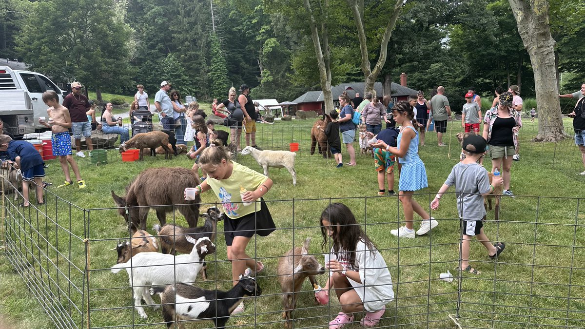 InsulatorsL's tweet photo. The petting zoo is always a big hit at our Founders' Day Picnic!
Check out the Local 2 Photo Gallery on our website for more photos from our favorite family event of the year. #FamilyFirst #UnionProud #Insulators #Tradition #SummerEvents
Photo gallery: https://t.co/h8B54NKOTV https://t.co/AhAPG2exvV