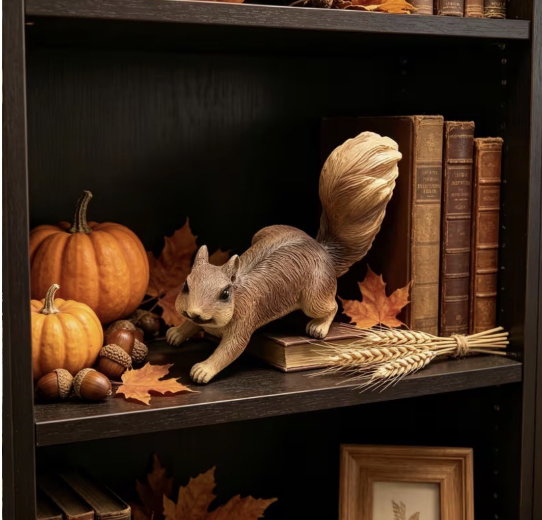 PrettyKay1266's tweet photo. Everyone has their fall animals and I’ve officially found mine ! Cute little squirrels around my home 🥰🥹 https://t.co/SCRhqcbIZ3