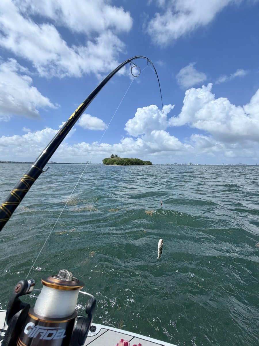 zoe_minted's tweet photo. Good weather is perfect for going out to sea and enjoying the fun of fishing. Maintaining a positive and optimistic attitude is the best thing in life https://t.co/FYP6HLru9C
