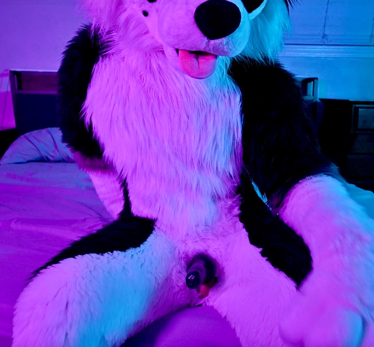 EatonDoggo's tweet photo. Hi puppy, I’ve got somewhere you can shove that muzzle… #murrsuit #murrsuitmonday https://t.co/OdbaId3IFv