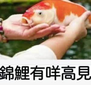 wsyetta's tweet photo. https://t.co/PeJmwjnPVt