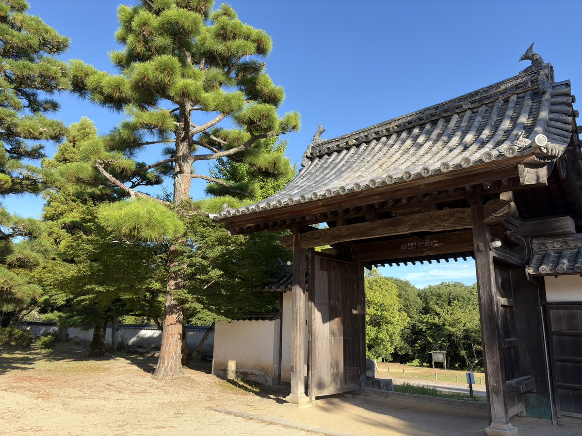 EmpireoBritain's tweet photo. 人生初の五重塔！！
旅行はやっぱり楽しいものよ！
#五重塔 #旅行 #国分寺 #寺 https://t.co/vOWWTHvq3f