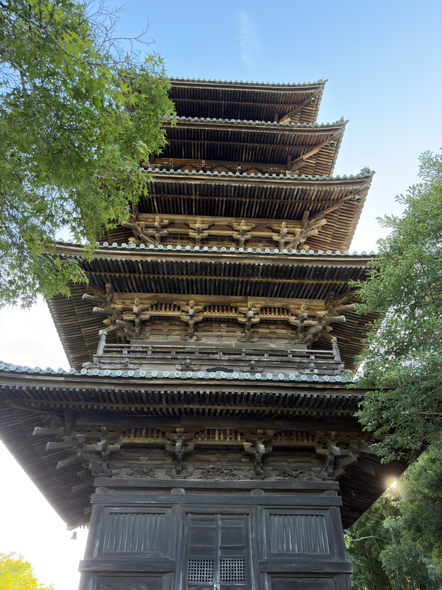 EmpireoBritain's tweet photo. 人生初の五重塔！！
旅行はやっぱり楽しいものよ！
#五重塔 #旅行 #国分寺 #寺 https://t.co/vOWWTHvq3f
