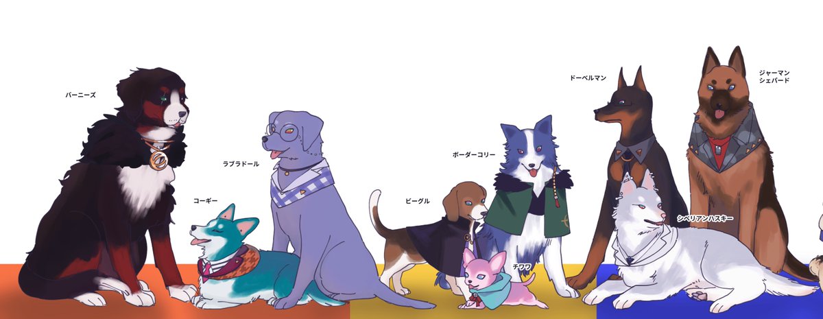 pddin11428's tweet photo. 犬種予想🐕 ※犬化 https://t.co/OH4YIRbqyg