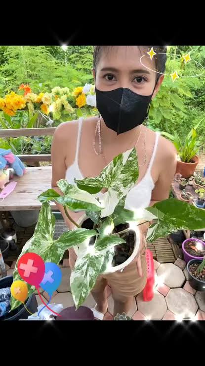 TopTrends69's tweet photo. yutnoey vk

รับพร https://t.co/B0kvO3oBBt

#yutnoey https://t.co/Dd6yPZ4cPW