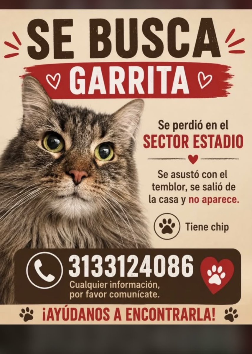 a_crap_more's tweet photo. Amigos, estás mascoticas andan perdidas, por favor difundir. 
#temblor https://t.co/zgu3PD1Exn