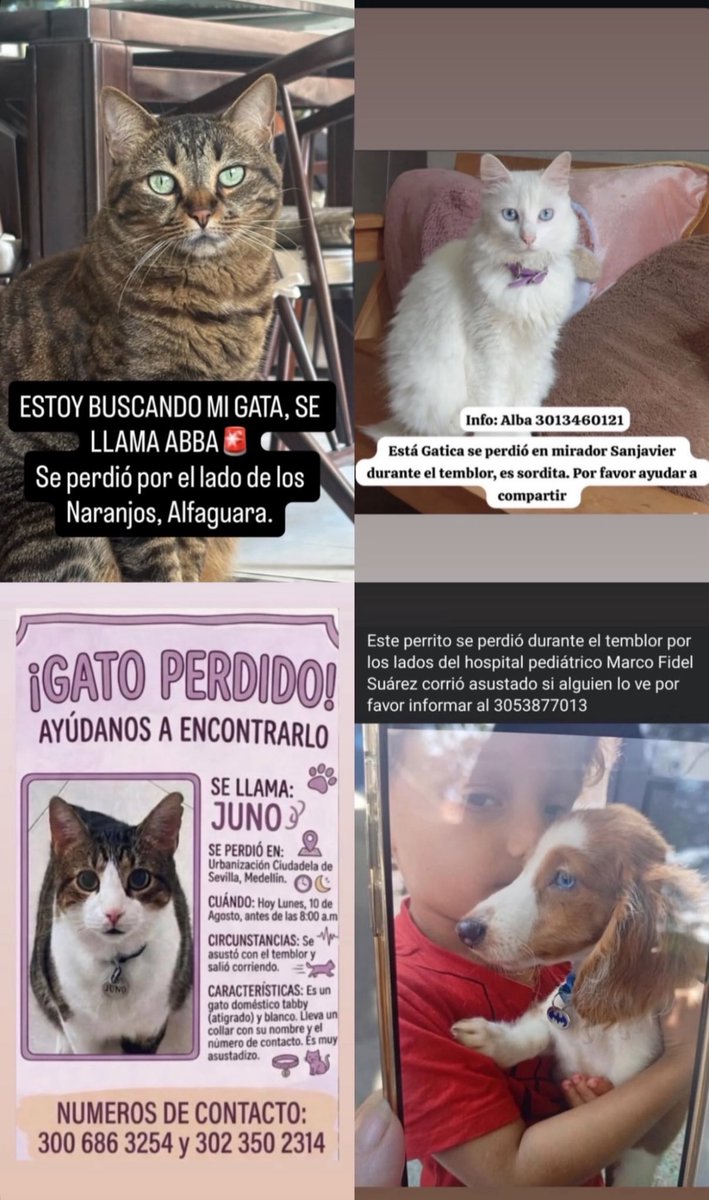 _m4clg's tweet photo. 📍MEDELLÍN 🆘‼️‼️
Compartannnn🥺🥺 https://t.co/WTSplLgU58