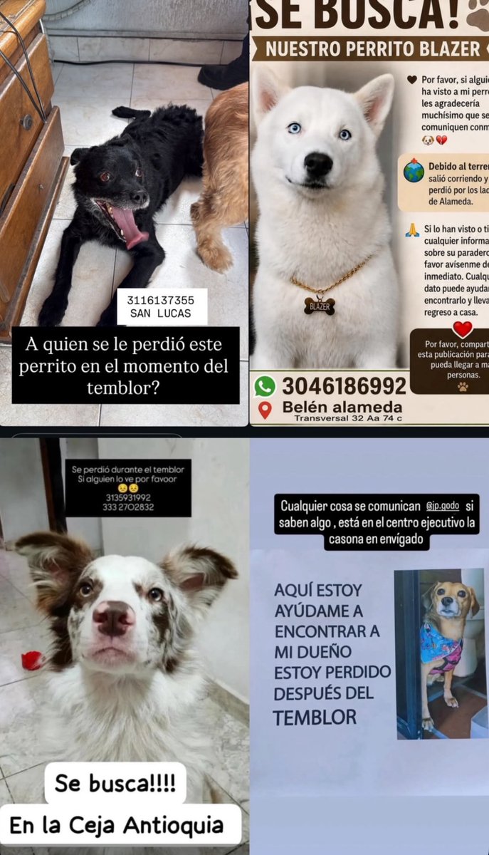 _m4clg's tweet photo. 📍MEDELLÍN 🆘‼️‼️
Compartannnn🥺🥺 https://t.co/WTSplLgU58