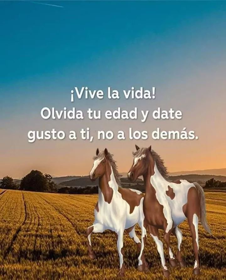 LeonardoEdwinF1's tweet photo. Una vez que elige la esperanza, todo es posible.
#lindódiaparatodos 
#Feliziniciodesemana https://t.co/ZnHWX4MiPv